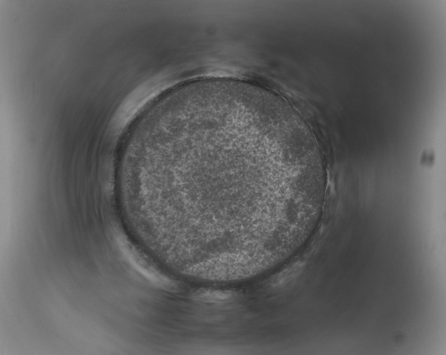 X0000112730247200910011204