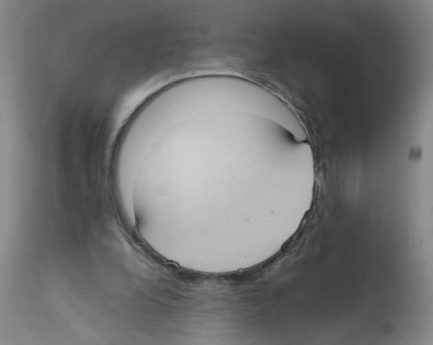 X0000112730248200910011204