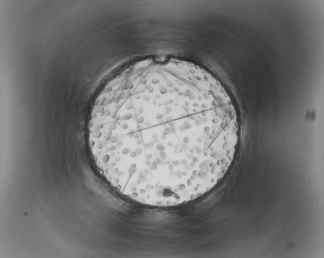 X0000112730249200910011204