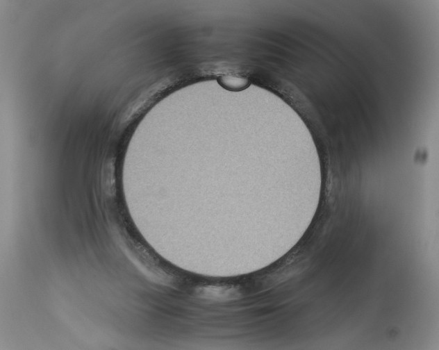 X0000112730251200910011204