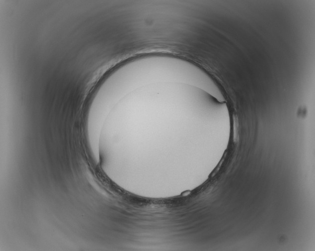 X0000112730252200910011204