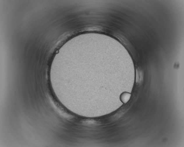 X0000112730253200910011204