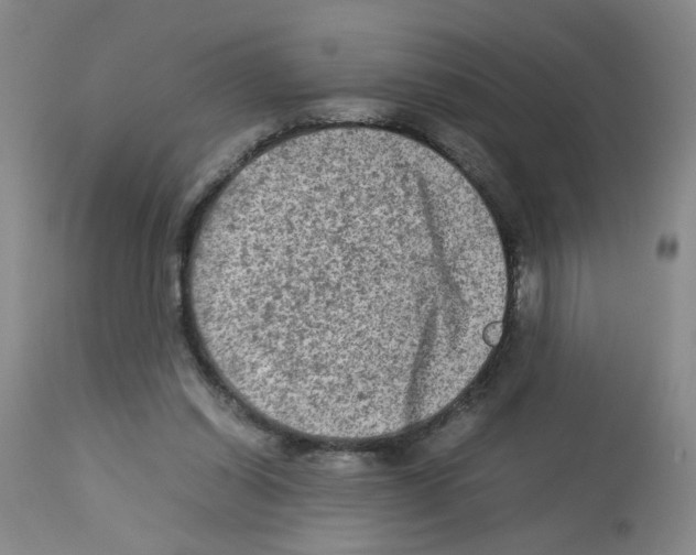 X0000112730254200910011204