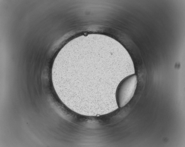 X0000112730256200910011204