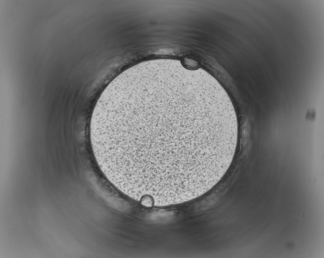 X0000112730257200910011204