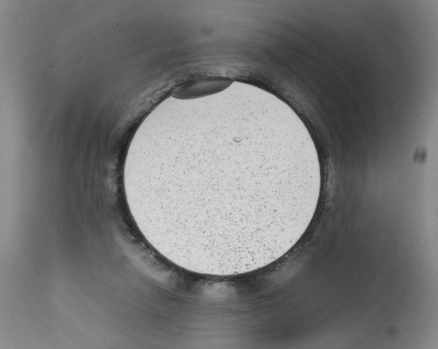 X0000112730258200910011204