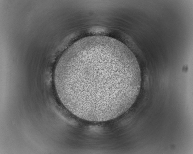 X0000112730259200910011204