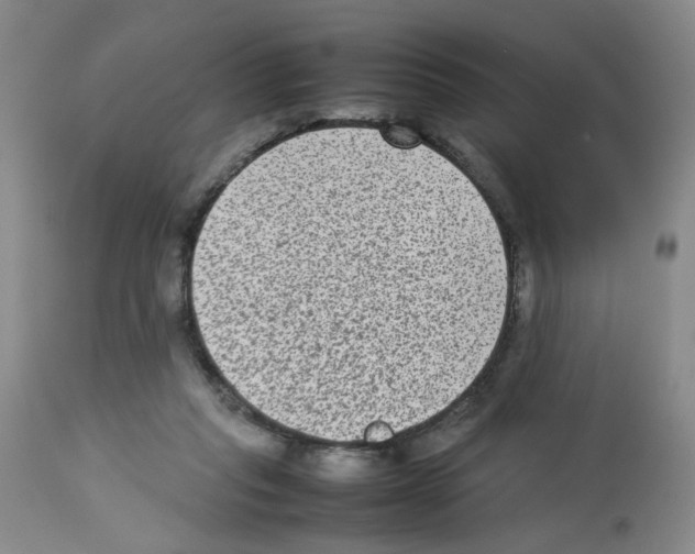 X0000112730261200910011204