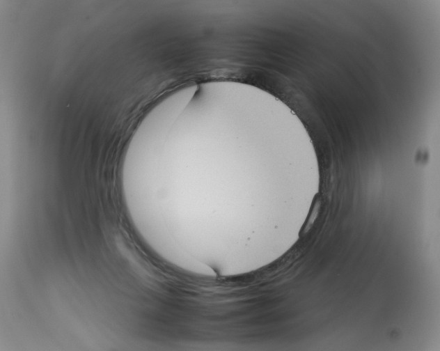 X0000112730263200910011204