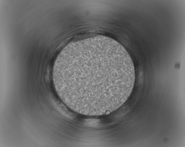 X0000112730266200910011204