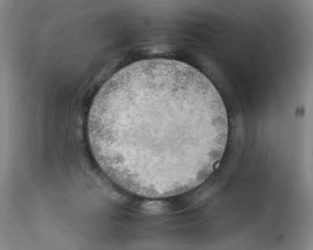 X0000112730269200910011204