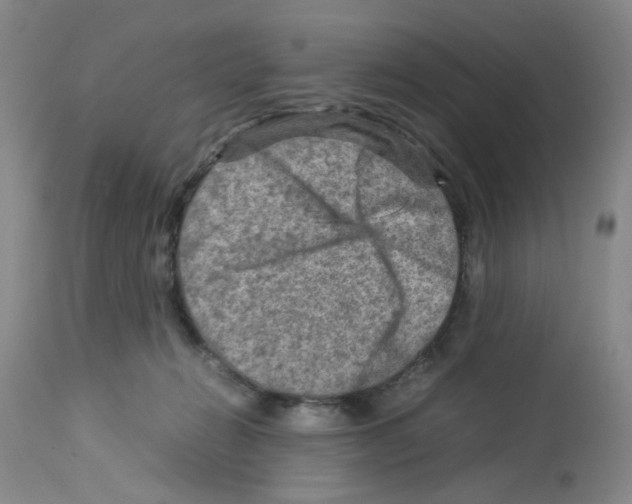 X0000112730270200910011204