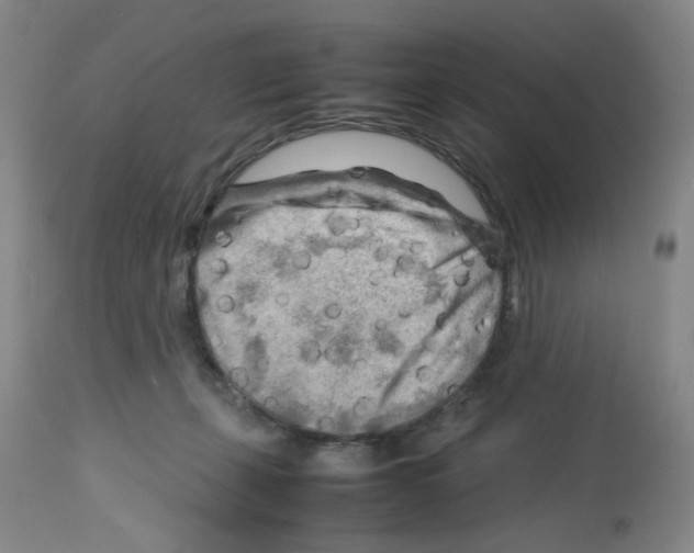 X0000112730271200910011204