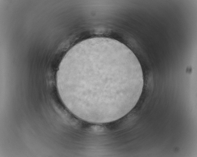 X0000112730272200910011204
