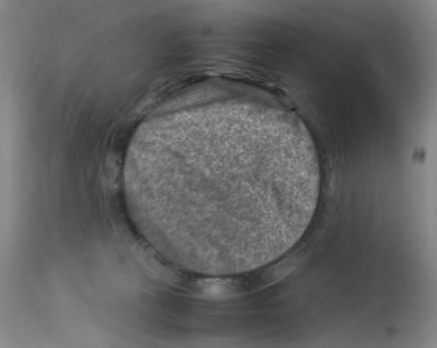 X0000112730273200910011204