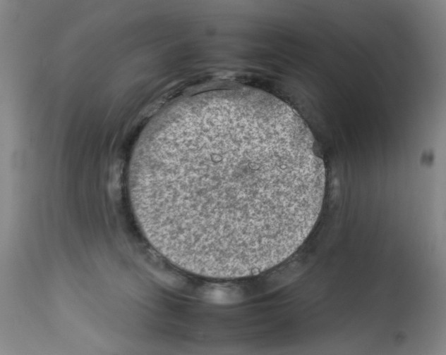 X0000112730275200910011204