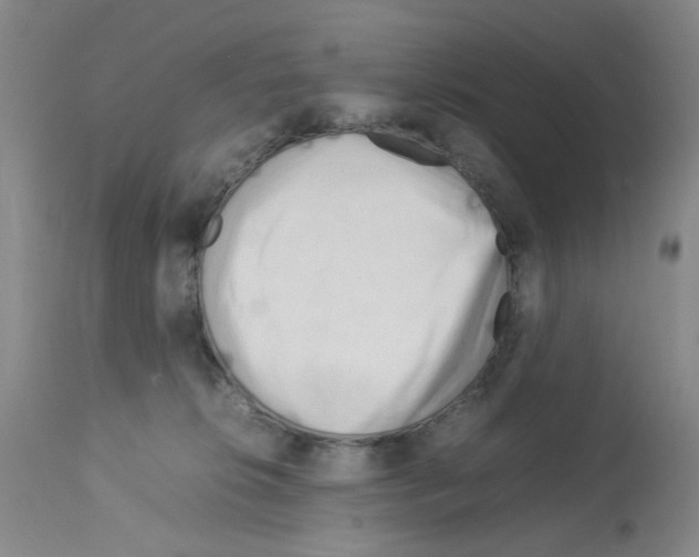 X0000112730276200910011204