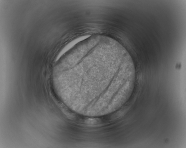 X0000112730277200910011204