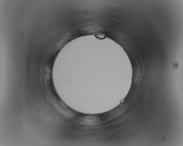 X0000112730279200910011204