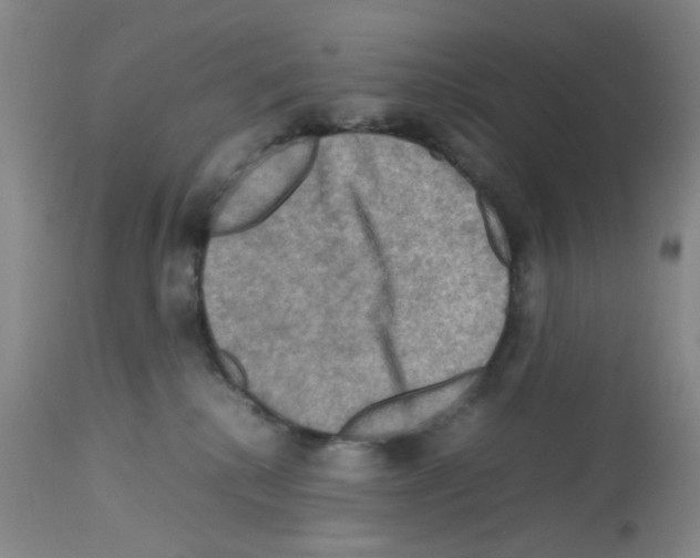 X0000112730280200910011204