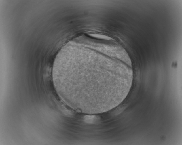 X0000112730281200910011204