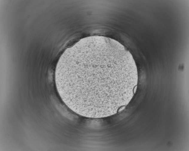 X0000112730282200910011204