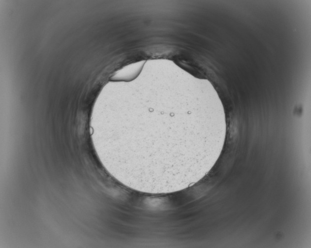 X0000112730283200910011204