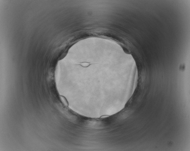 X0000112730284200910011204