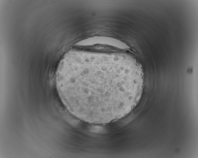 X0000112730285200910011204