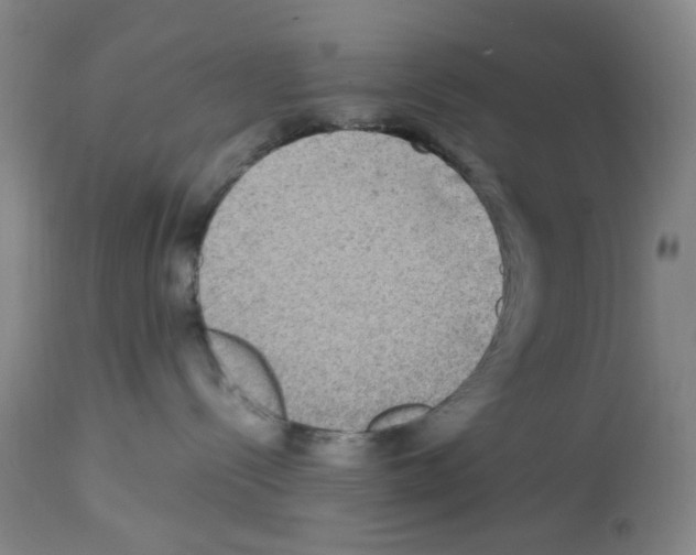 X0000112730288200910011204
