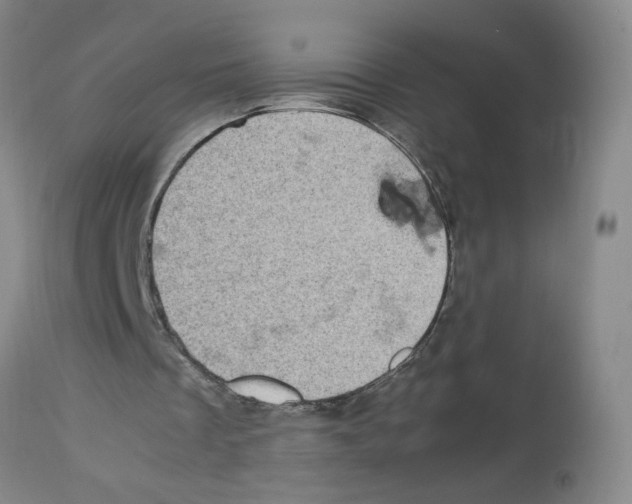 X0000112730289200910011204