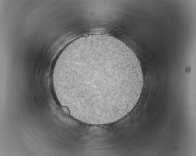 X0000112730290200910011204