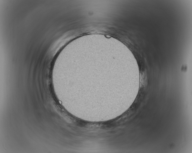 X0000112730291200910011204
