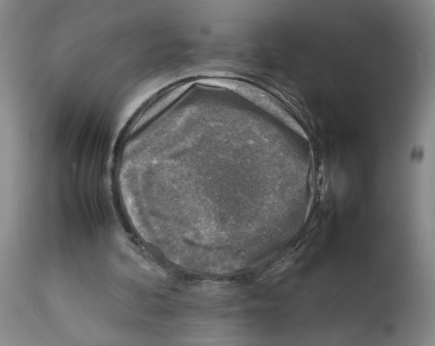 X0000112730292200910011204