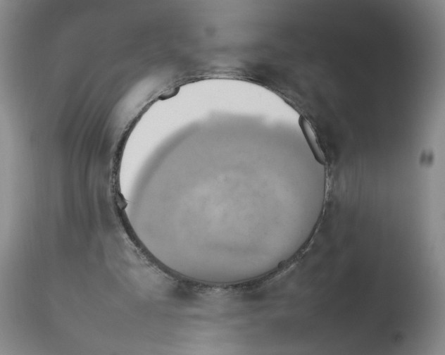 X0000112730293200910011204