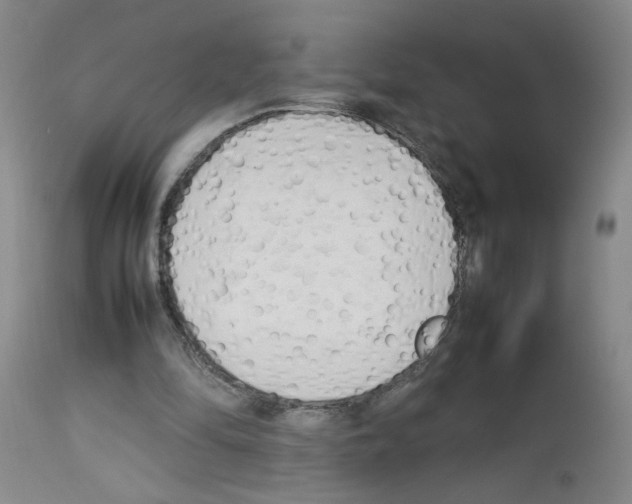 X0000112730294200910011204