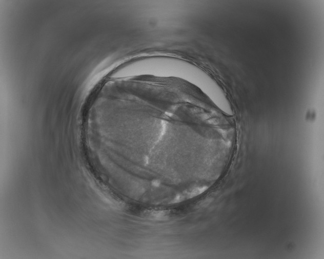 X0000112730295200910011204