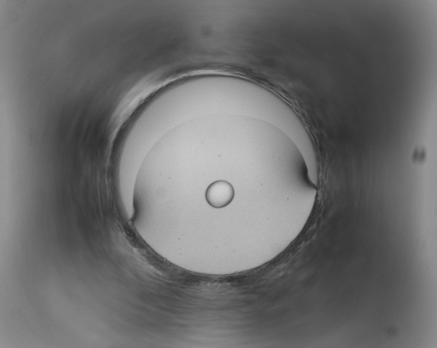 X0000112730296200910011204