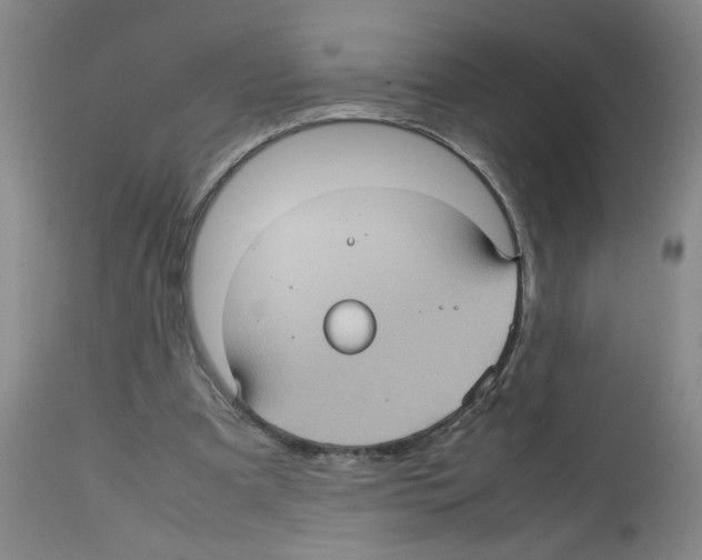 X0000112730297200910011203