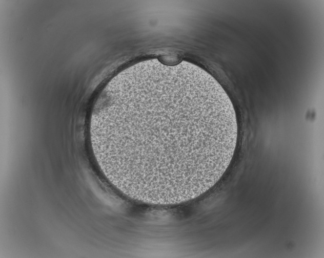 X0000112730299200910011203