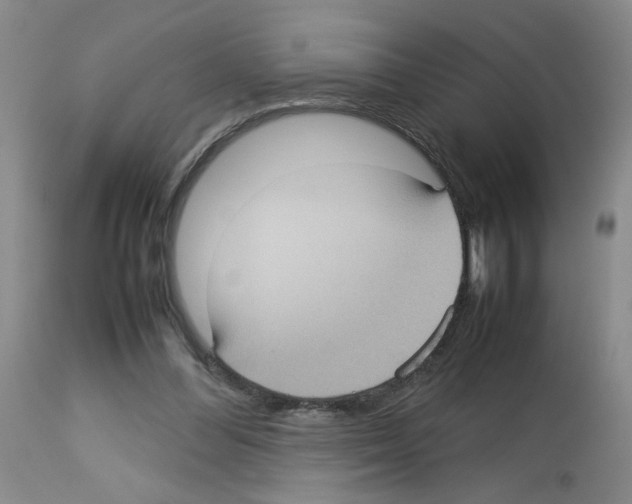 X0000112730300200910011203