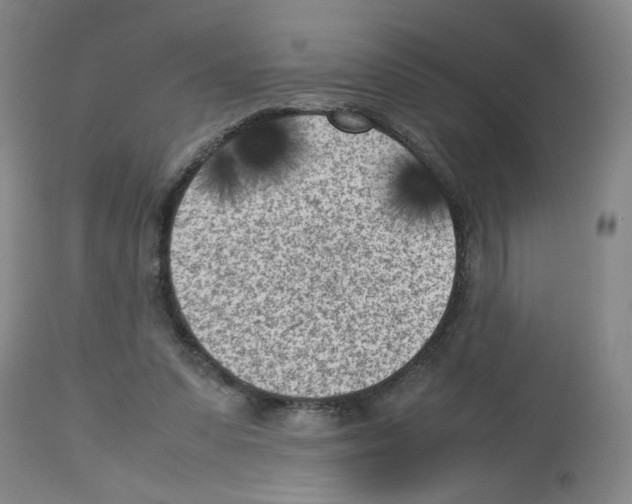 X0000112730303200910011203