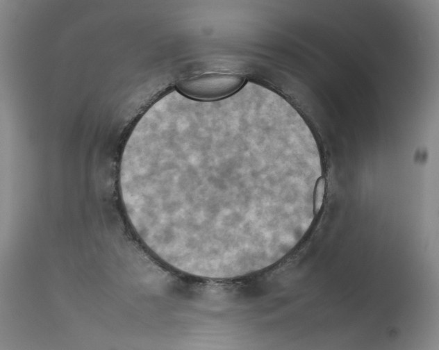 X0000112730305200910011203
