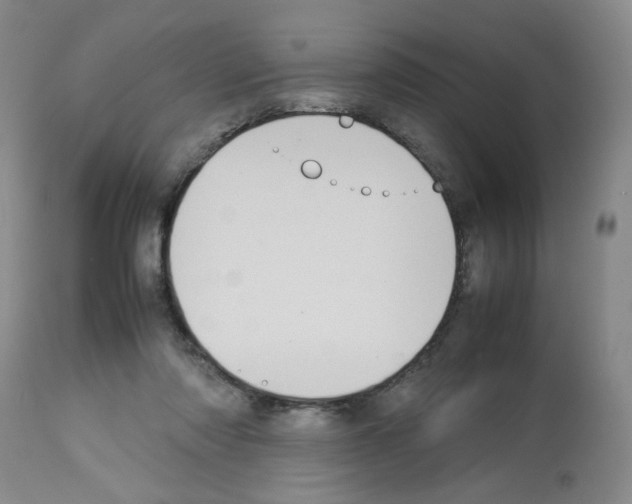 X0000112730310200910011203