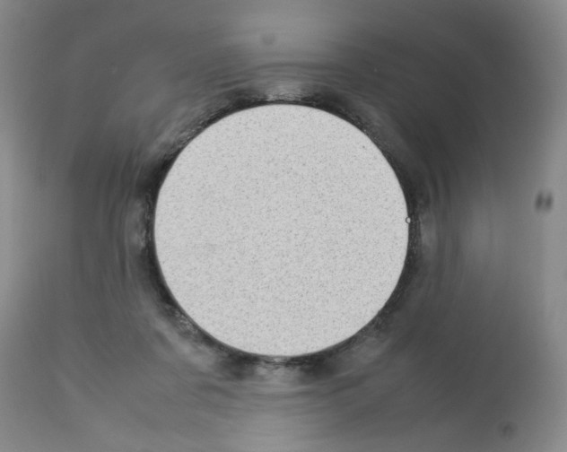 X0000112730311200910011203