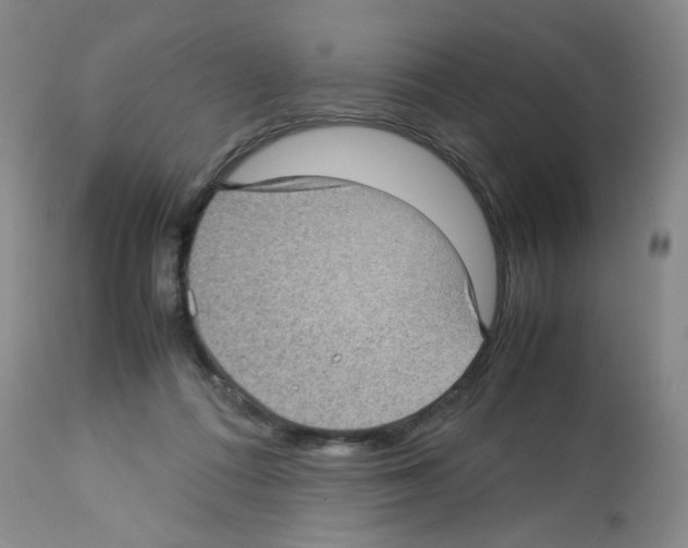 X0000112730312200910011203