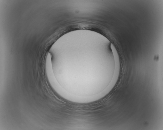 X0000112730313200910011203