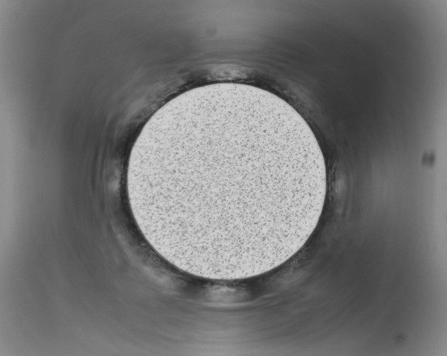 X0000112730315200910011203