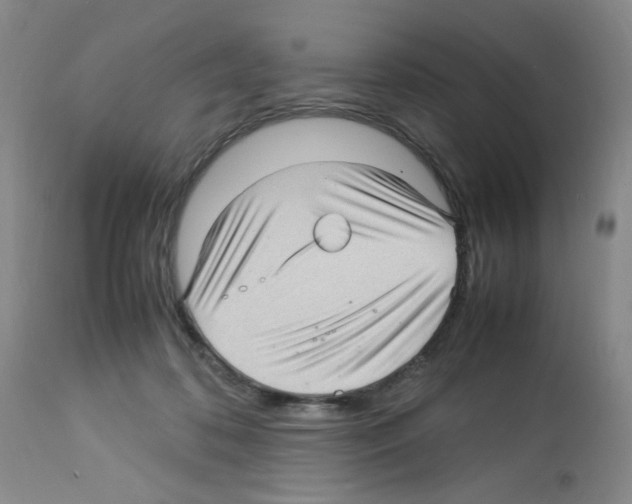 X0000112730316200910011203