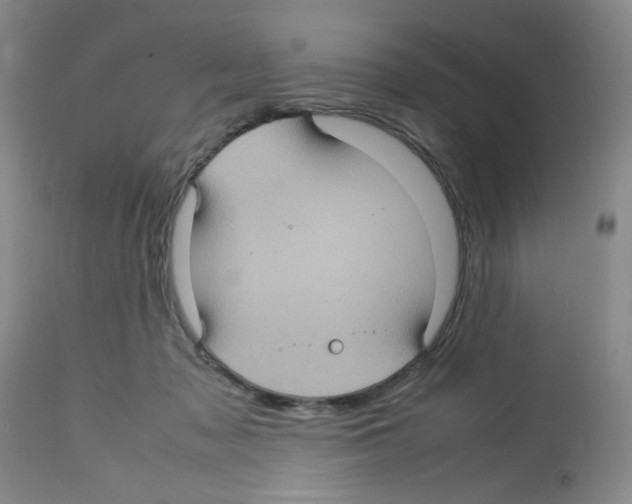 X0000112730317200910011203